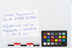 Foto von Bronzehalbkreisanhänger (NHMW-PRAE-025486)